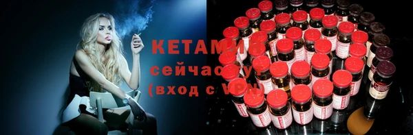 индика Анжеро-Судженск
