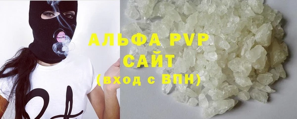 шишки Аркадак