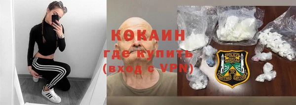 шишки Аркадак