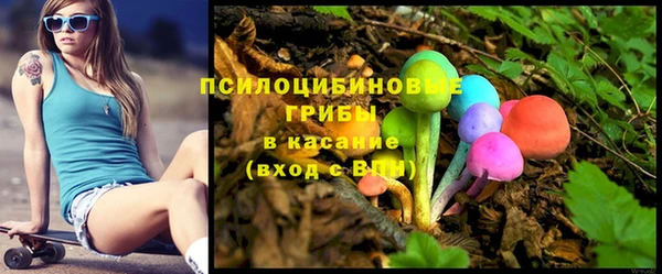 гидропоника Армянск