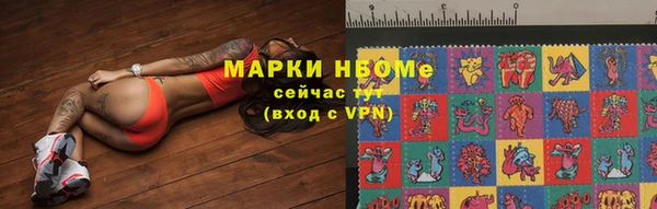 шишки Аркадак