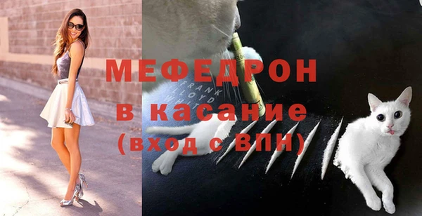 шишки Аркадак